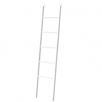 Bunk Bed Metal Ladder